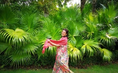 西西外f挂网穿越火线